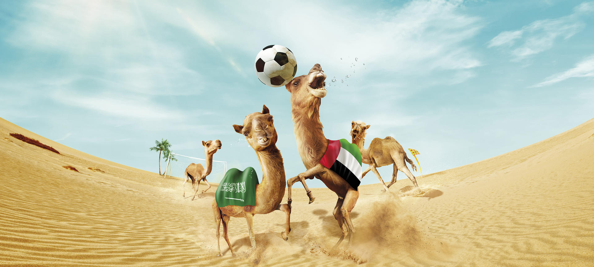 HKJC_Football